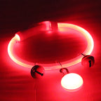 LumiTrail Reflective Rechargeable Tube Collar